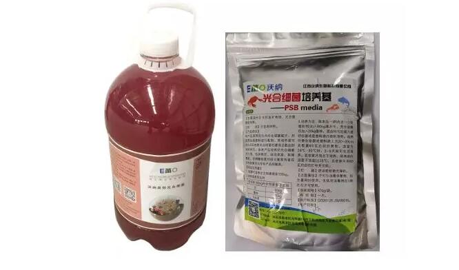 光合細菌在農業領域上的應用(yòng)知識介紹(圖1)